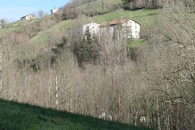 Aranguren