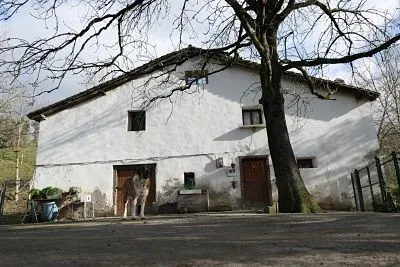 Azaldegi bekoa